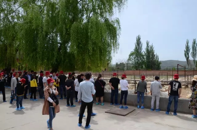 w66.利来(中国区)_来利国际旗舰厅