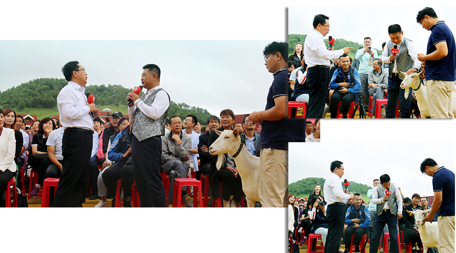 w66.利来(中国区)_来利国际旗舰厅