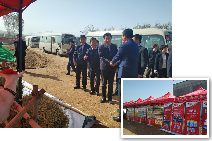 w66.利来(中国区)_来利国际旗舰厅