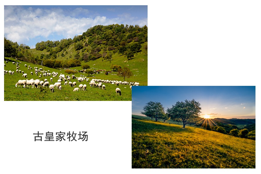 w66.利来(中国区)_来利国际旗舰厅