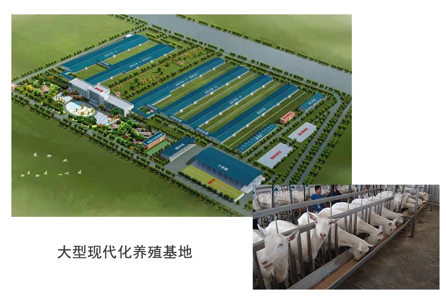 w66.利来(中国区)_来利国际旗舰厅