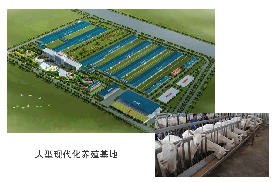 w66.利来(中国区)_来利国际旗舰厅