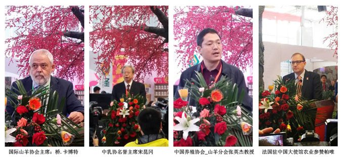 w66.利来(中国区)_来利国际旗舰厅