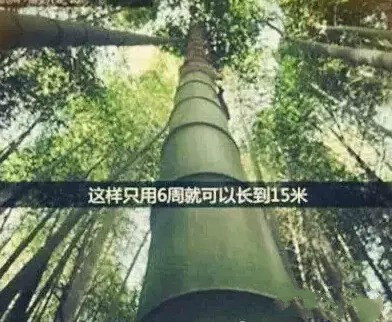 w66.利来(中国区)_来利国际旗舰厅