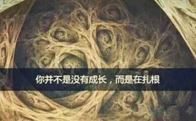 w66.利来(中国区)_来利国际旗舰厅