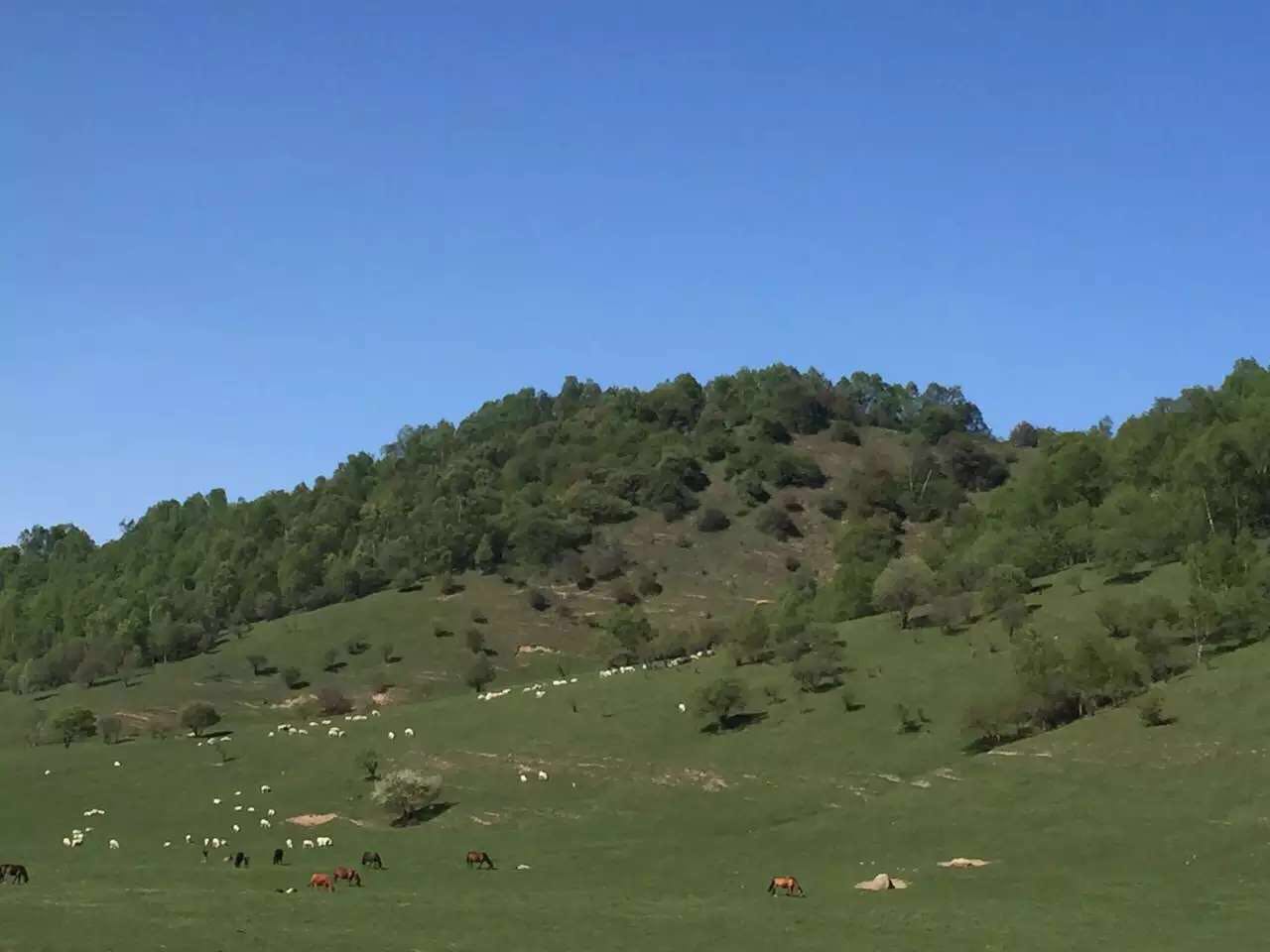 w66.利来(中国区)_来利国际旗舰厅
