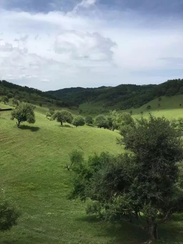 w66.利来(中国区)_来利国际旗舰厅